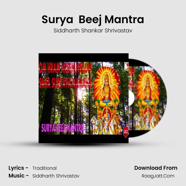 Surya  Beej Mantra Song mp3 | Siddharth Shankar Shrivastav