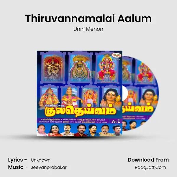 Thiruvannamalai Aalum Song mp3 | Unni Menon