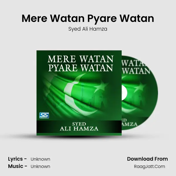 Mere Watan Pyare Watan - Single - Syed Ali Hamza