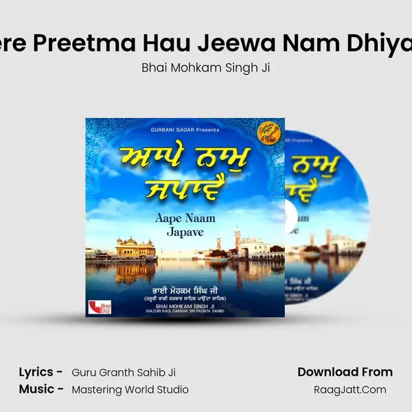 Mere Preetma Hau Jeewa Nam Dhiyaye mp3 song