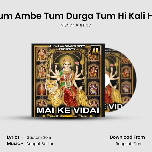 Tum Ambe Tum Durga Tum Hi Kali Ho mp3 song