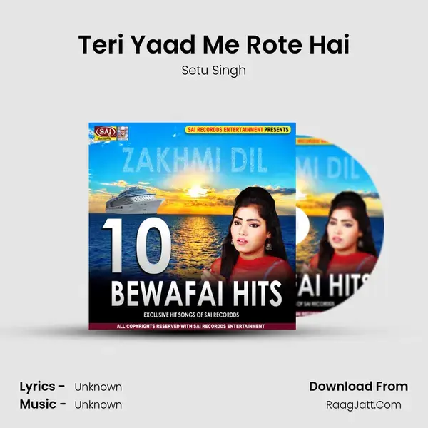 Teri Yaad Me Rote Hai Song mp3 | Setu Singh