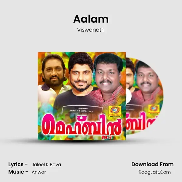 Aalam Song mp3 | Viswanath