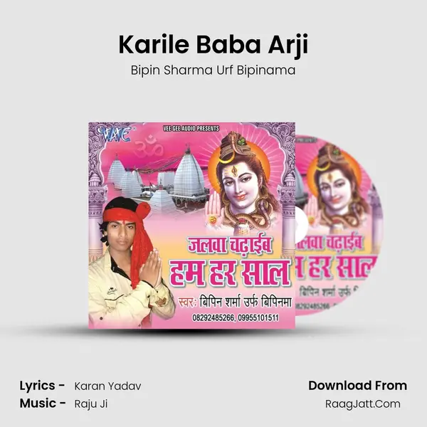 Karile Baba Arji Song mp3 | Bipin Sharma Urf Bipinama