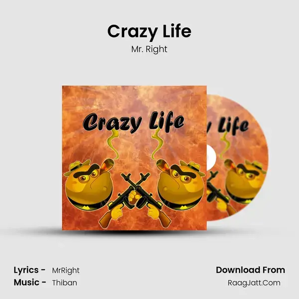 Crazy Life - Mr. Right