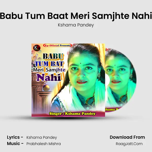 Babu Tum Baat Meri Samjhte Nahi mp3 song