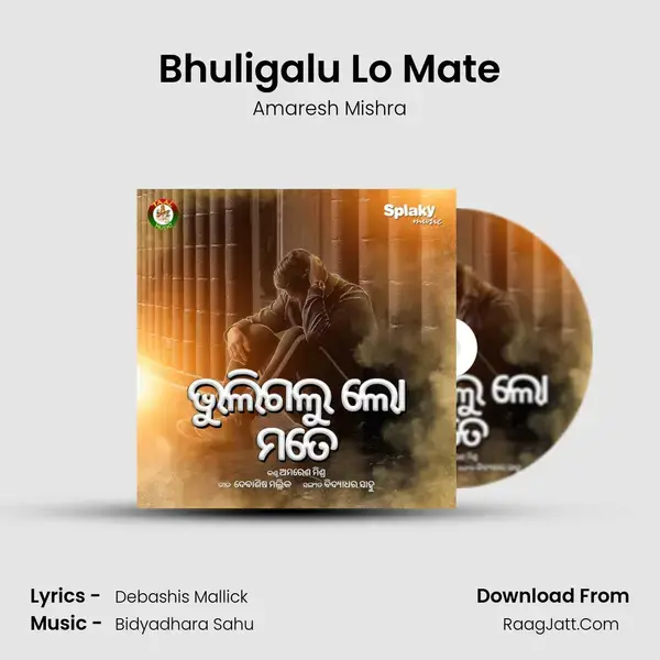 Bhuligalu Lo Mate mp3 song