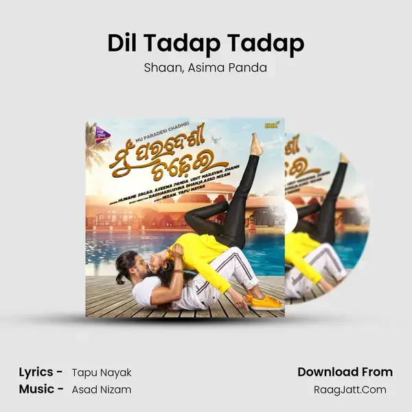 Dil Tadap Tadap Song mp3 | Shaan