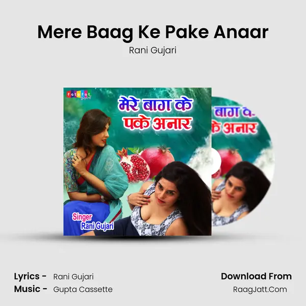 Mere Baag Ke Pake Anaar Song mp3 | Rani Gujari