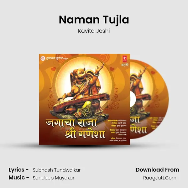 Naman Tujla mp3 song