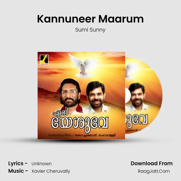 Kannuneer Maarum Song mp3 | Sumi Sunny