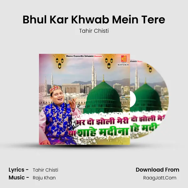 Bhul Kar Khwab Mein Tere Song mp3 | Tahir Chisti