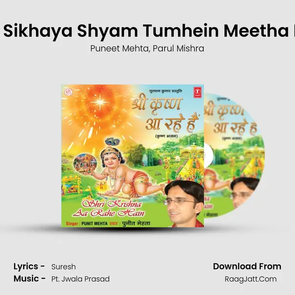 Kisne Sikhaya Shyam Tumhein Meetha Bolna mp3 song