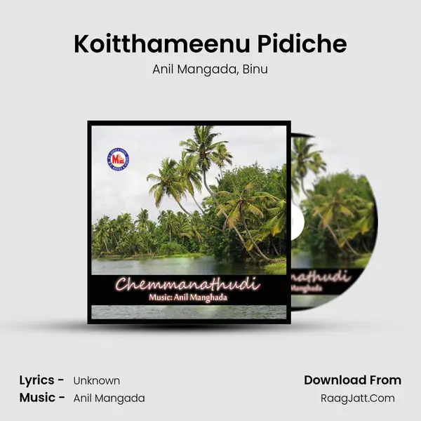 Koitthameenu Pidiche Song mp3 | Anil Mangada