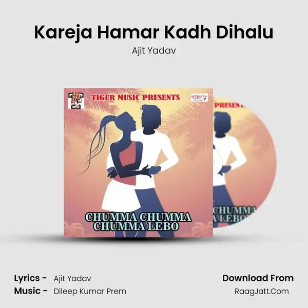 Kareja Hamar Kadh Dihalu mp3 song