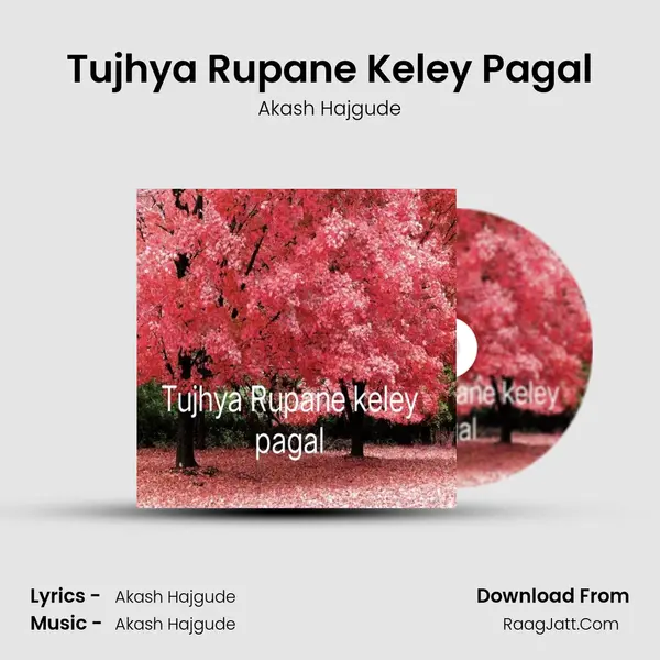 Tujhya Rupane Keley Pagal Song mp3 | Akash Hajgude