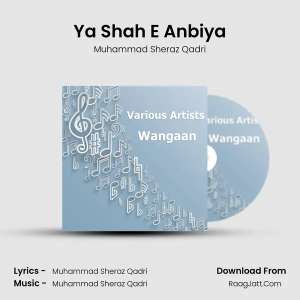 Ya Shah E Anbiya Song mp3 | Muhammad Sheraz Qadri