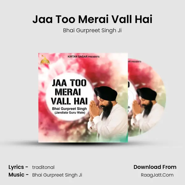 Jaa Too Merai Vall Hai mp3 song