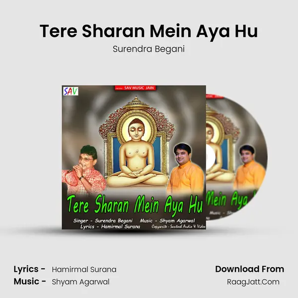 Tere Sharan Mein Aya Hu mp3 song