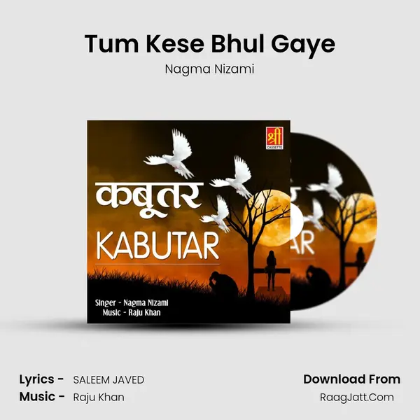 Tum Kese Bhul Gaye mp3 song