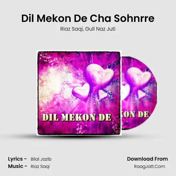 Dil Mekon De Cha Sohnrre Song mp3 | Riaz Saqi