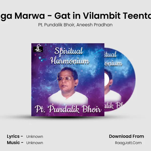 Raga Marwa - Gat in Vilambit Teentaal mp3 song