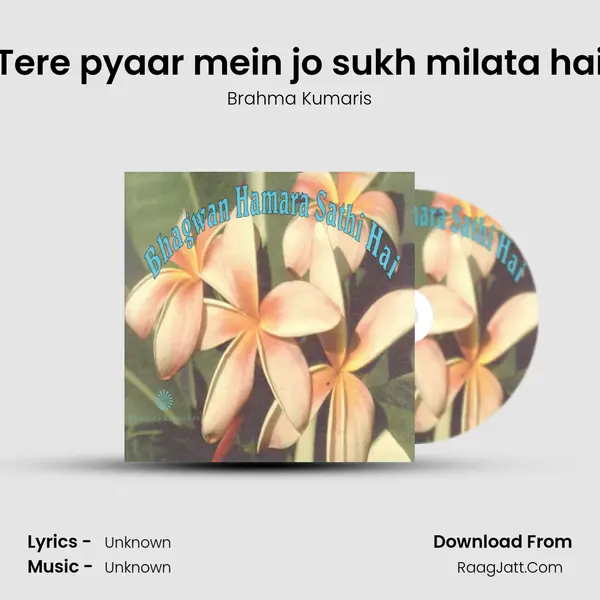 Tere pyaar mein jo sukh milata hai Song mp3 | Brahma Kumaris