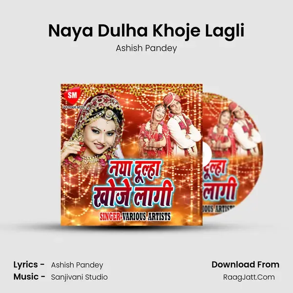 Naya Dulha Khoje Lagli Song mp3 | Ashish Pandey