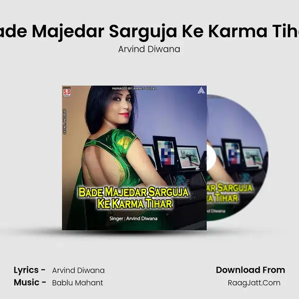 Bade Majedar Sarguja Ke Karma Tihar mp3 song