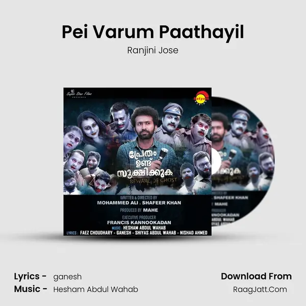 Pei Varum Paathayil Song mp3 | Ranjini Jose