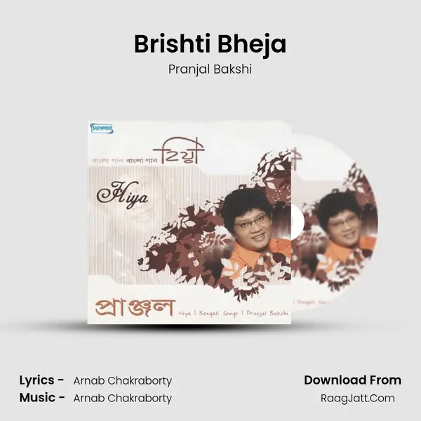 Brishti Bheja Song mp3 | Pranjal Bakshi