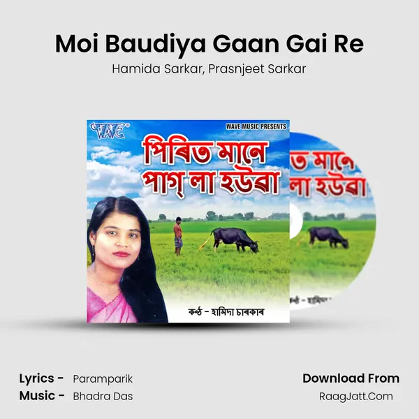 Moi Baudiya Gaan Gai Re Song mp3 | Hamida Sarkar