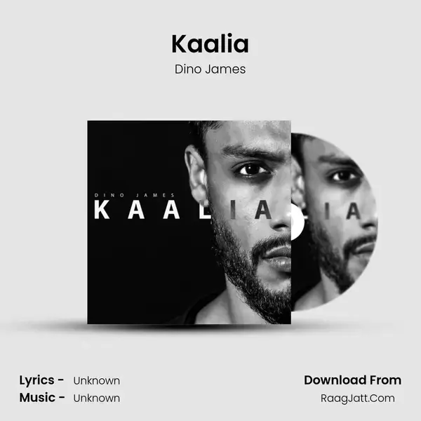 Kaalia Song mp3 | Dino James