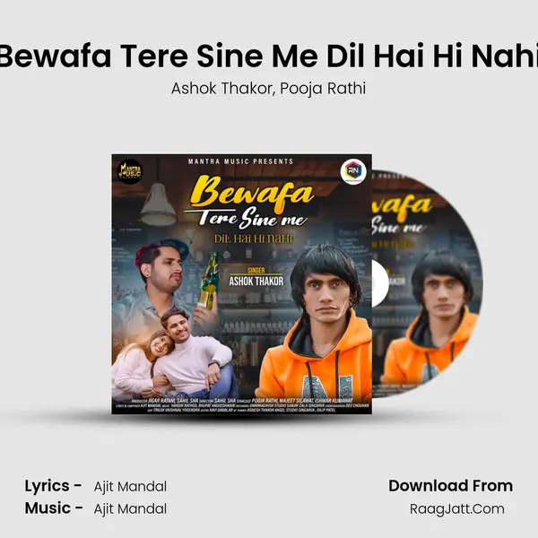 Bewafa Tere Sine Me Dil Hai Hi Nahi mp3 song