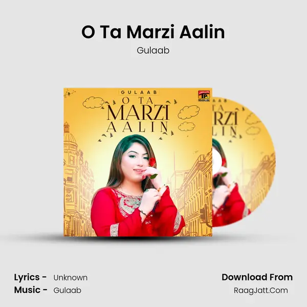 O Ta Marzi Aalin mp3 song