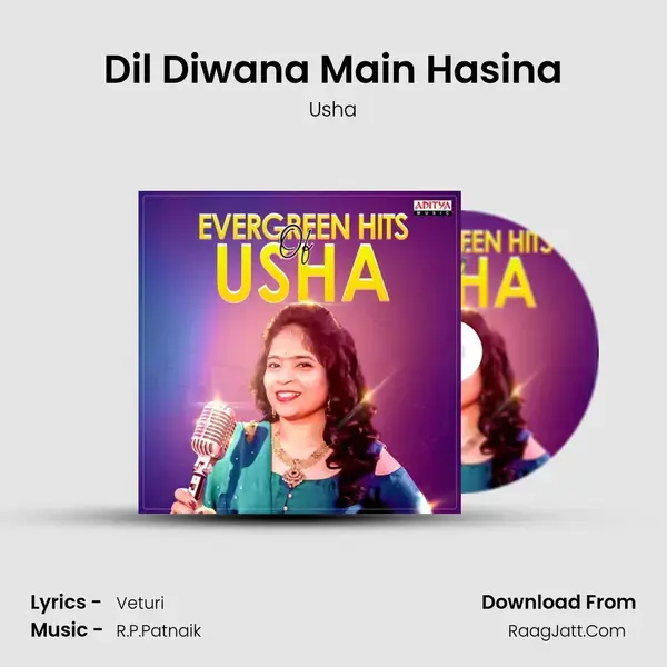 Dil Diwana Main Hasina mp3 song