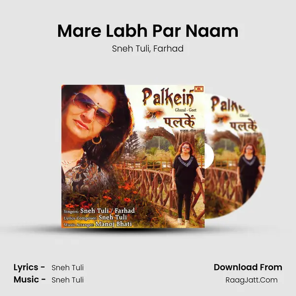 Mare Labh Par Naam mp3 song