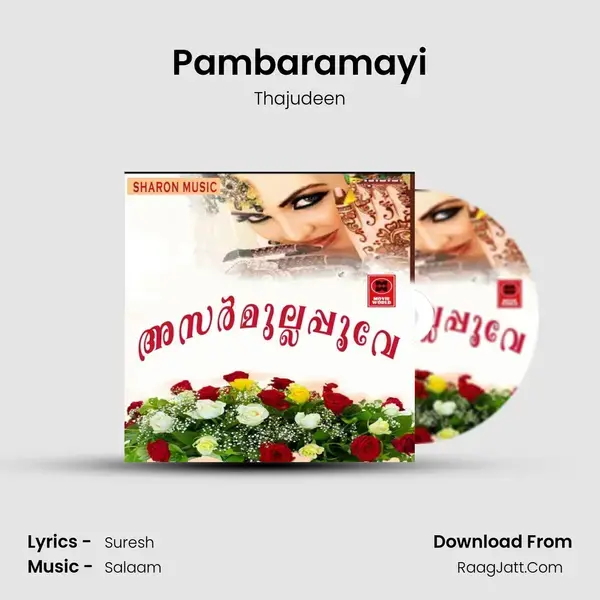 Pambaramayi Song mp3 | Thajudeen