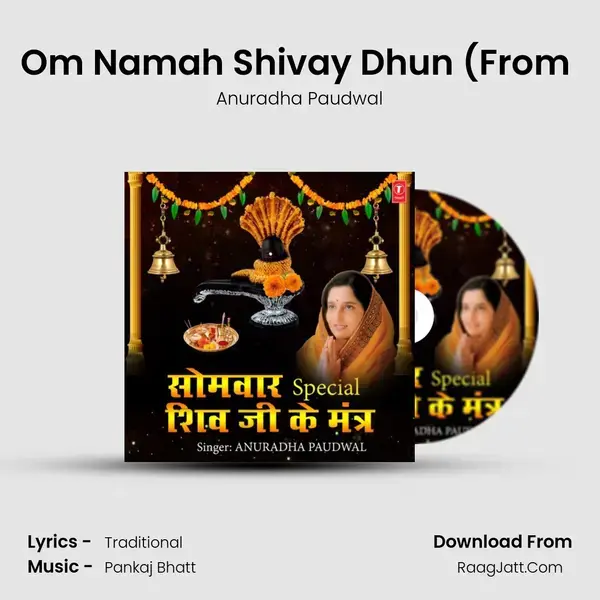 Om Namah Shivay Dhun (From  Song mp3 | Anuradha Paudwal