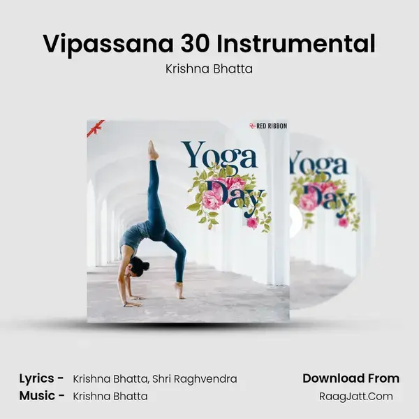 Vipassana 30 Instrumental Song mp3 | Krishna Bhatta