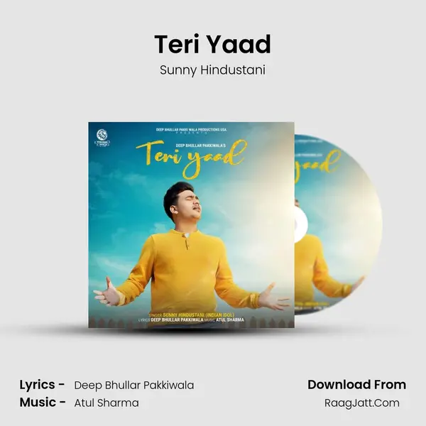 Teri Yaad Song mp3 | Sunny Hindustani