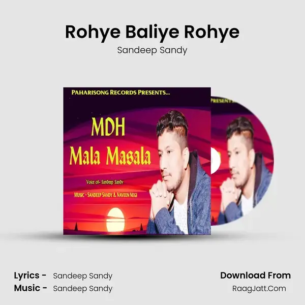 Rohye Baliye Rohye mp3 song