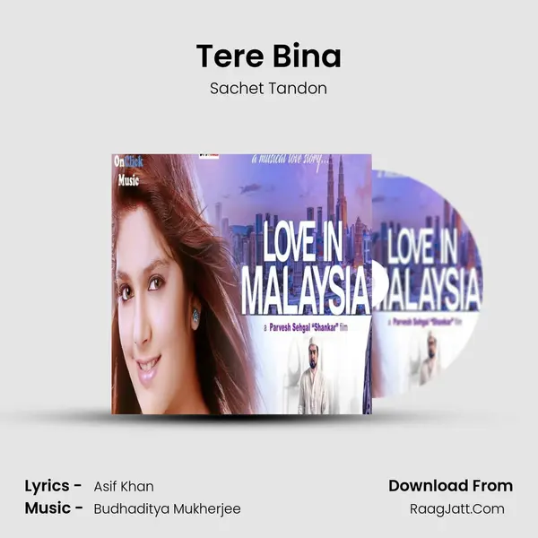 Tere Bina Song mp3 | Sachet Tandon