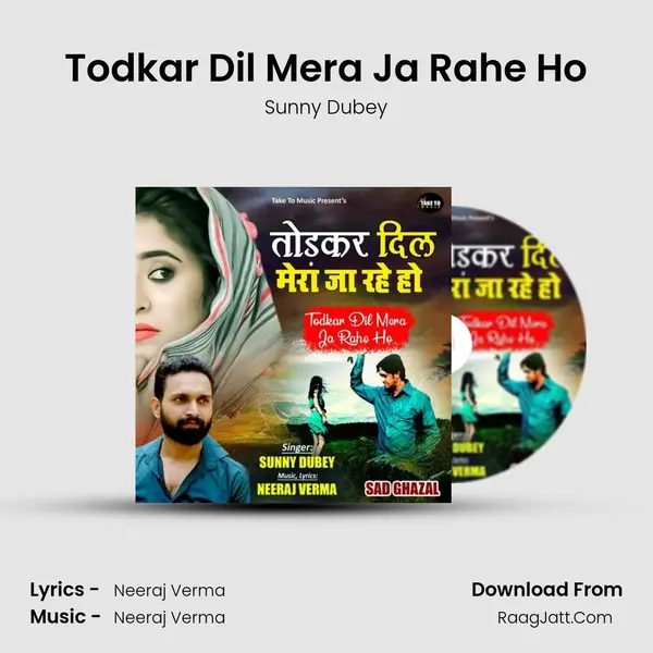 Todkar Dil Mera Ja Rahe Ho mp3 song