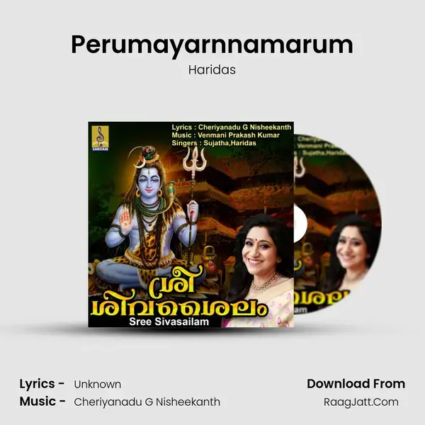 Perumayarnnamarum mp3 song