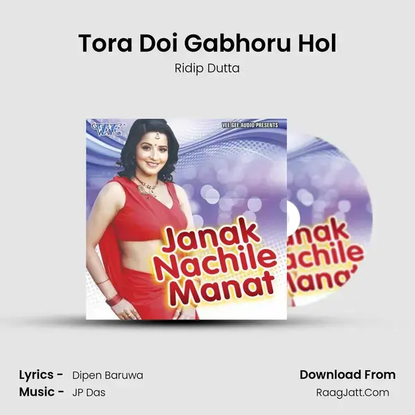 Tora Doi Gabhoru Hol mp3 song