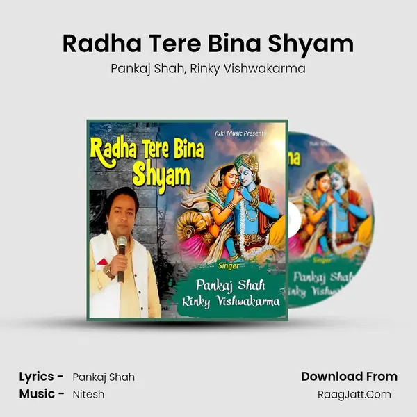 Radha Tere Bina Shyam mp3 song