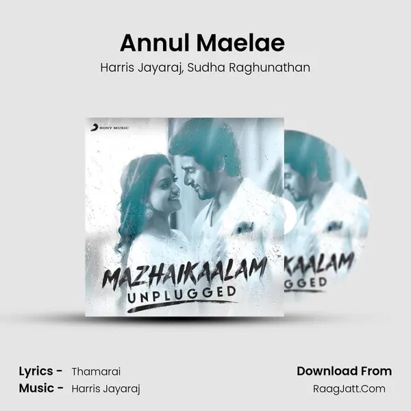 Annul Maelae (From 