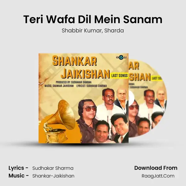 Teri Wafa Dil Mein Sanam mp3 song