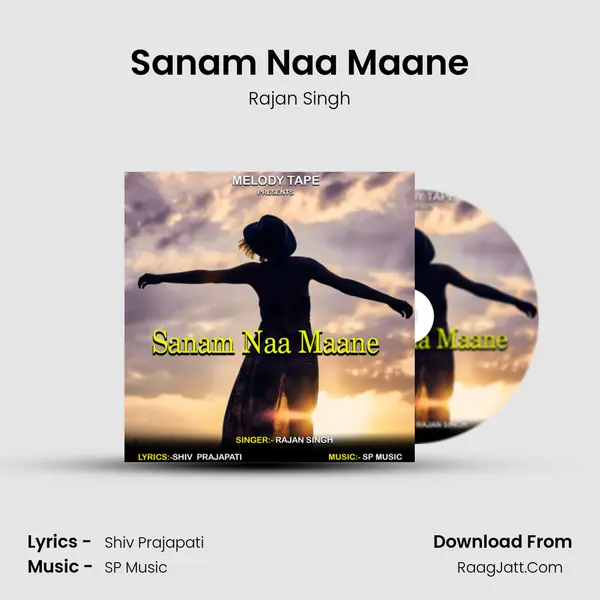 Sanam Naa Maane mp3 song